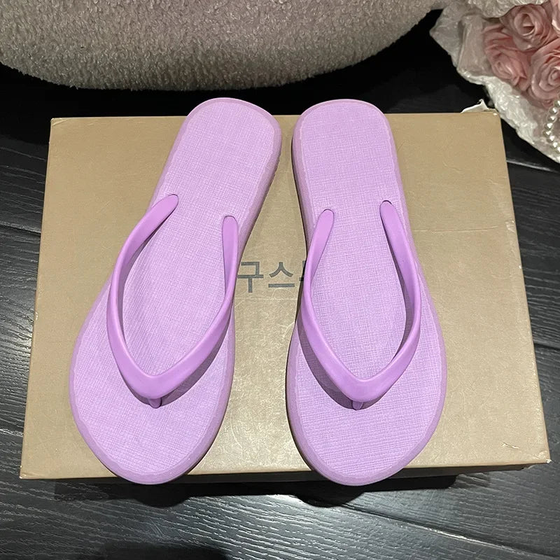 PURPLE / 39-40